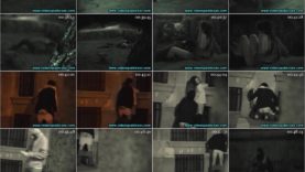 Night spy public voyeur sex at night porn clip 1 screenlist