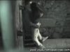 10 voyeur spy public porn (2)