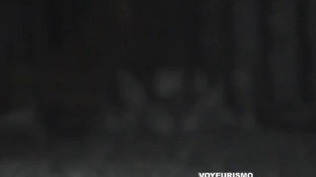 15891417772ifs4-640×480-1