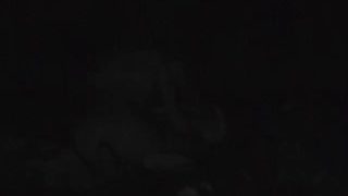 1589142552m6a3s-640×480-1