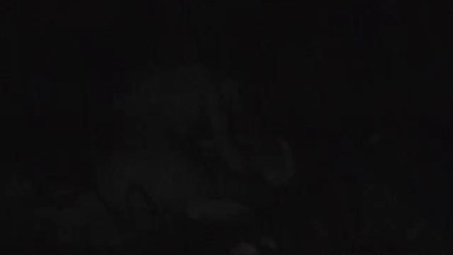 1589142552m6a3s-640×480-1