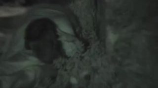 1589142648wabxn-640×480-1