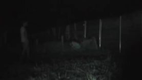 1589142666mifly-640×480-1