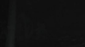 1589142676gu19c-640×480-1