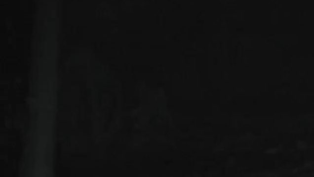 1589142676gu19c-640×480-1