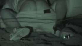 1589142756llzms-640×480-1