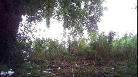 159208325523s7s-640×480-1