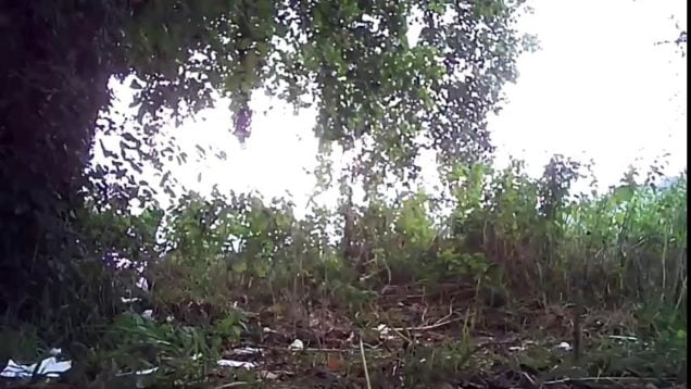 159208325523s7s-640×480-1