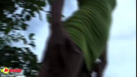 15932975223bsjo-640×480-1