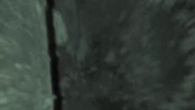 16070382226zr5n-640×480-1