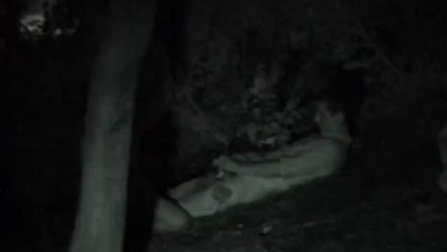 1607059429p6j4a-640×480-1