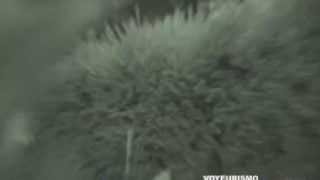 1607069990rhx2q-640×480-1