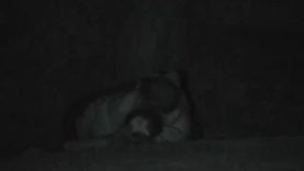 1607201830kj9p7-640×480-1