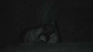 1607201830kj9p7-640×480-1