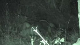 1607210249lm1s0-640×480-1