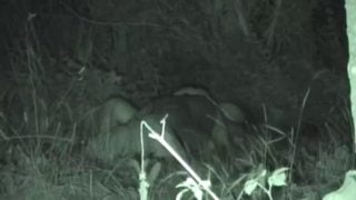 1607210249lm1s0-640×480-1