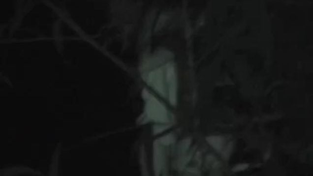 1607218055bb9n6-640×480-1