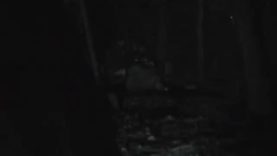 1607225342sc1sm-640×480-1