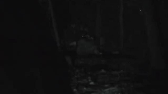 1607225342sc1sm-640×480-1