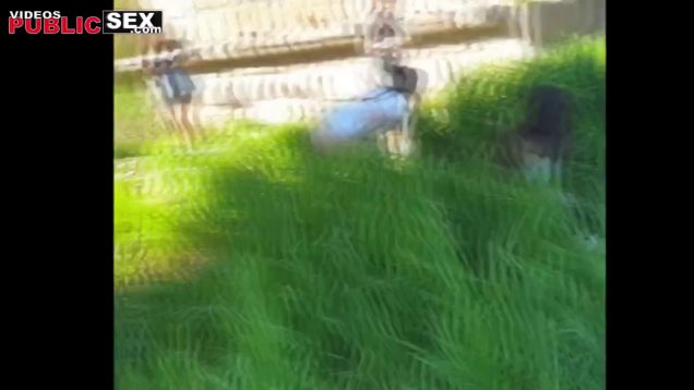 162738194207vra-640×480-1