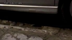 16273841471dl5k-640×480-1