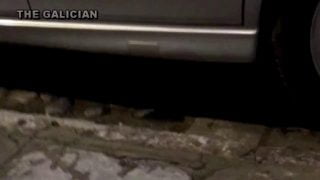 16273841471dl5k-640×480-1