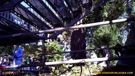 1627386289f7kcg-640×480-1