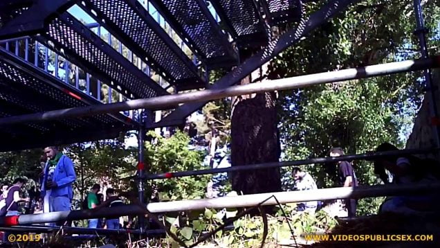 1627386289f7kcg-640×480-1