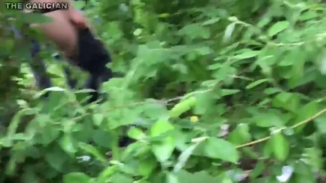 1630851419fb5fw-640×480-1