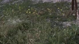 1630851514f1myn-640×480-1