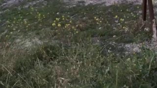 1630851514f1myn-640×480-1