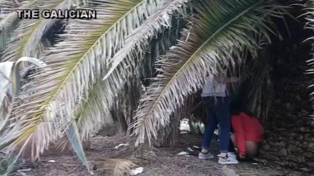 1630852068ezf98-640×480-1