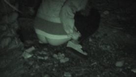 1630852209df1fv-640×480-1