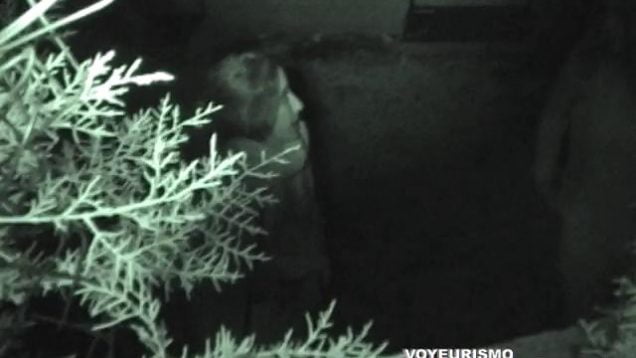 GalicianGotta09 Beautiful but still has to pee