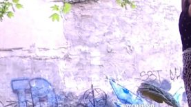 GalicianGotta18 Another bunch of random girls