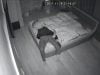 29.11.2017 house camera voyeur video