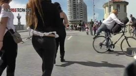 251 gsp see through thick roller