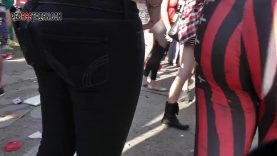 255 gsp pattern see through