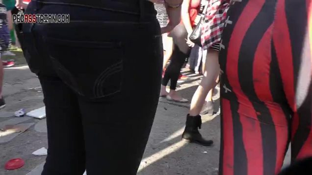 255 gsp pattern see through