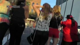 335 gsp floppy butt blonde