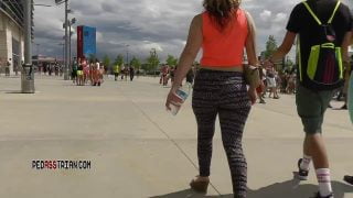 493 edc14 xray patterns