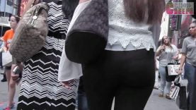 87 persian maybe black