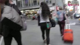 94 broadway luggage roller black leggings