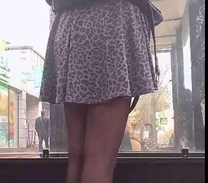 1635166177pkmtx-640×480-1