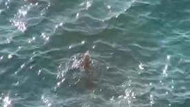 1666995585my5n6-640×480-1