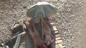 166699581836zlu-640×480-1