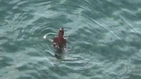 1666996003mv51a-640×480-1