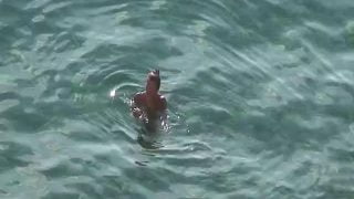 1666996003mv51a-640×480-1