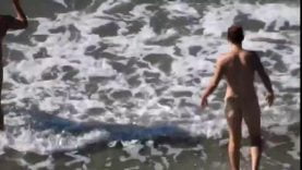 1667000965hsavx-640×480-1