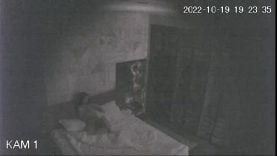 1667080318bqh1z-640×480-1